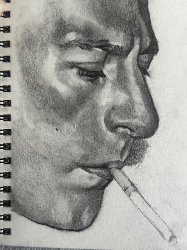 The Bear Sketch 2025